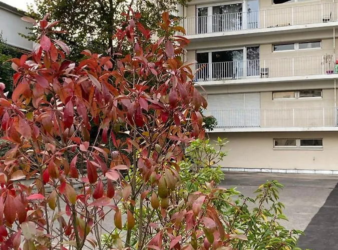 Centre Cathedrale Avec Balcon Apartment *